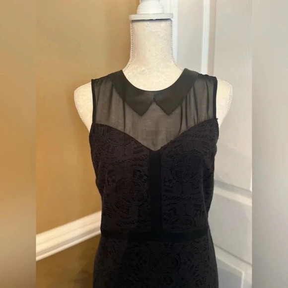 Ali Ra Silk Lace with Leather Collar Black‎ Dress - Picture 6 of 10